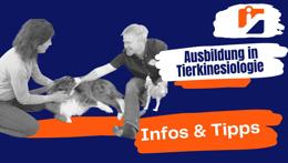 Vorschaubild des Videos «Alles was du über die Tierkinesiologie Ausbildung wissen musst!»