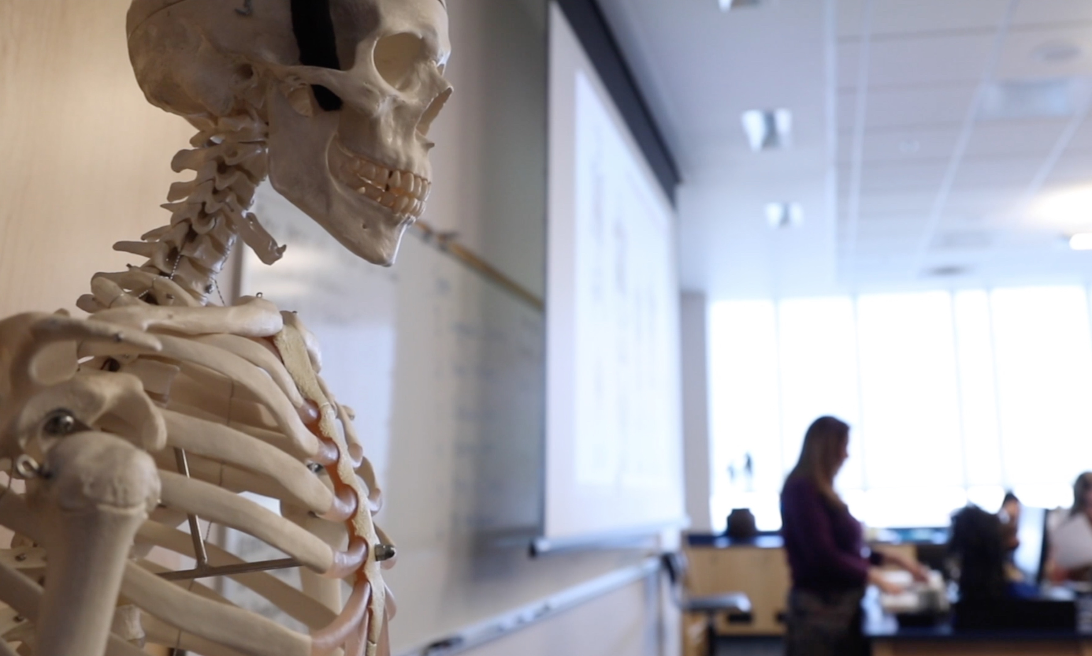 Ausbildung Medizinische Grundlagen