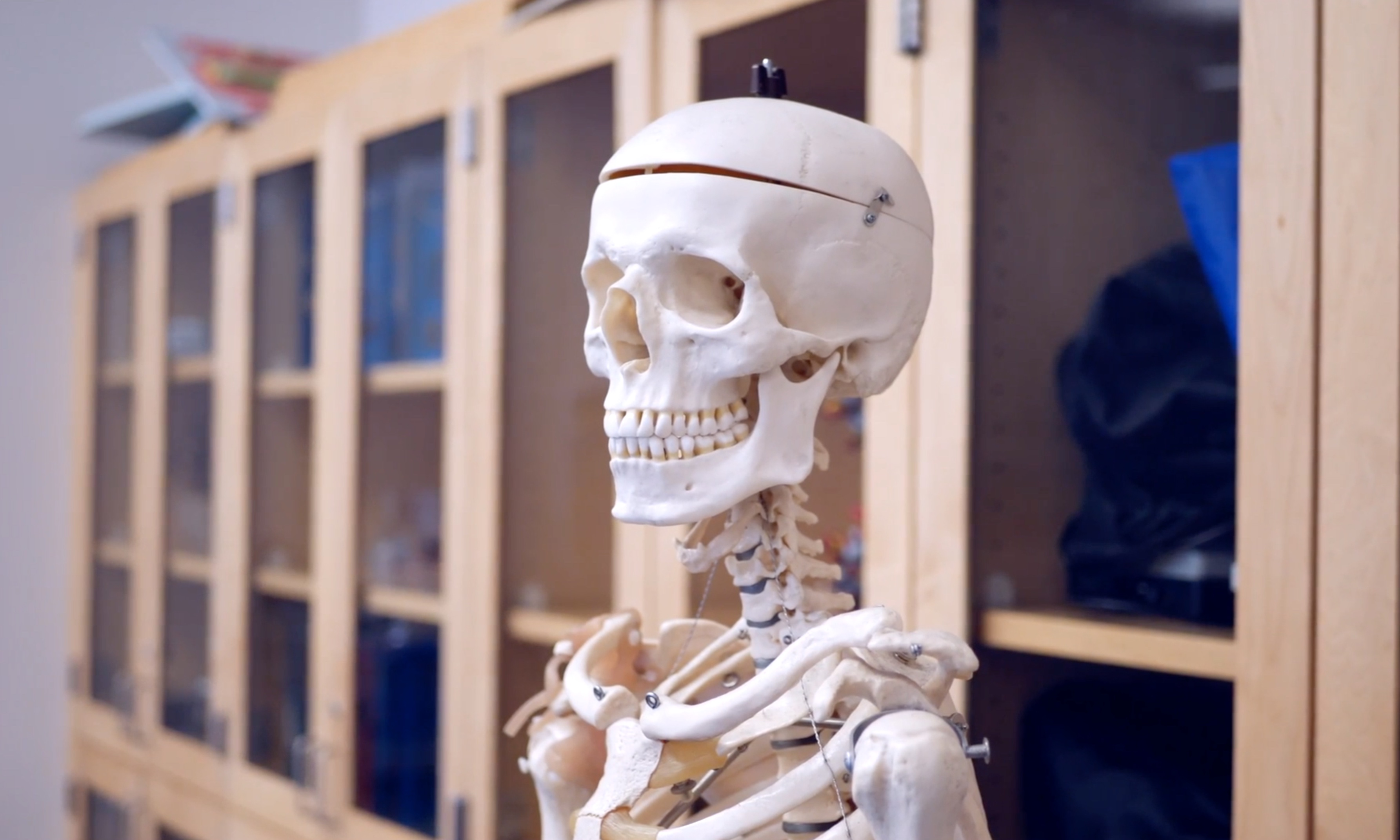 Medizinische Grundlagen Ausbildung