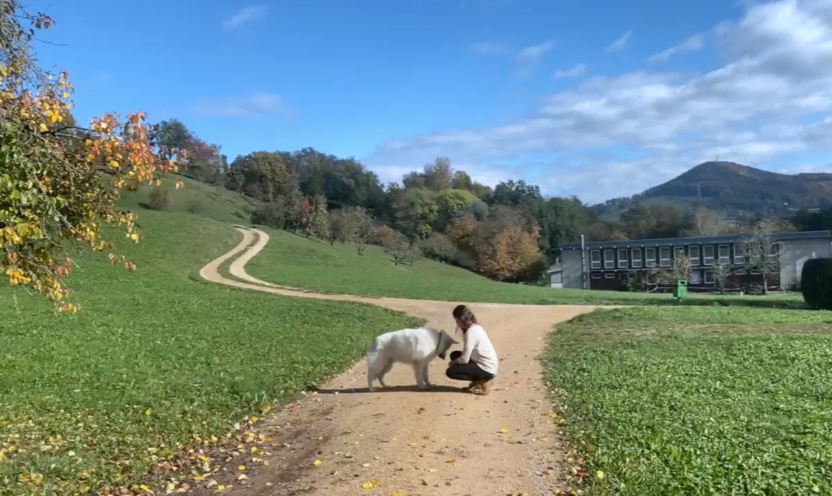 Tierkommunikation lernen