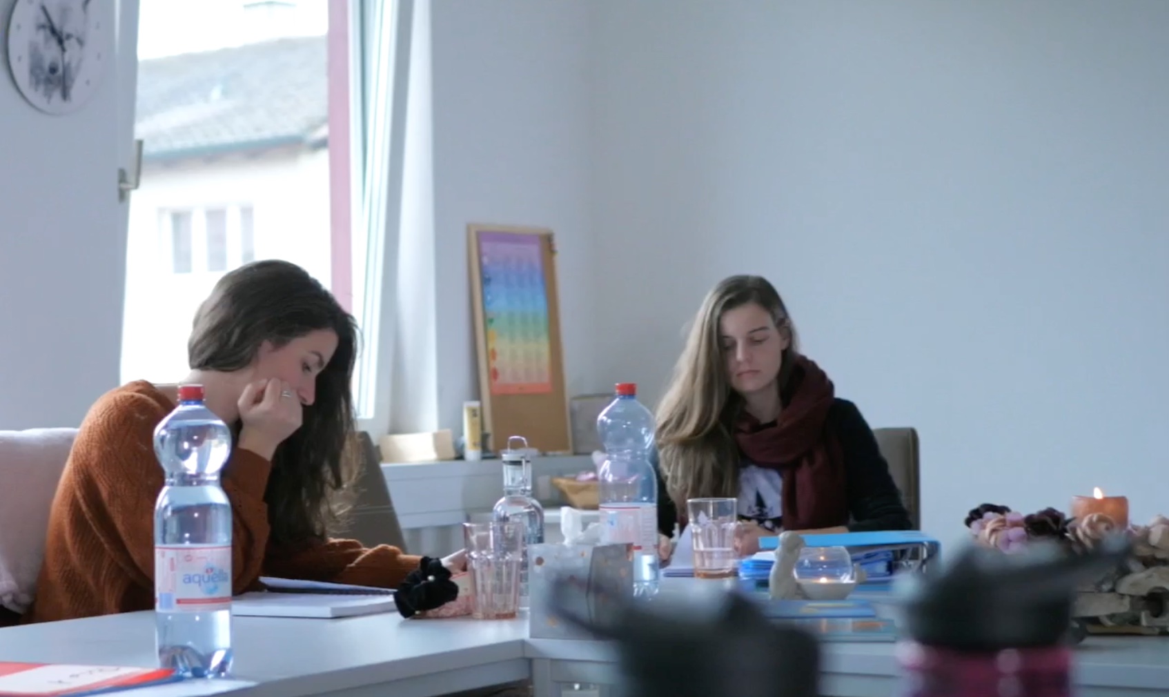 Tierkommunikation Ausbildung