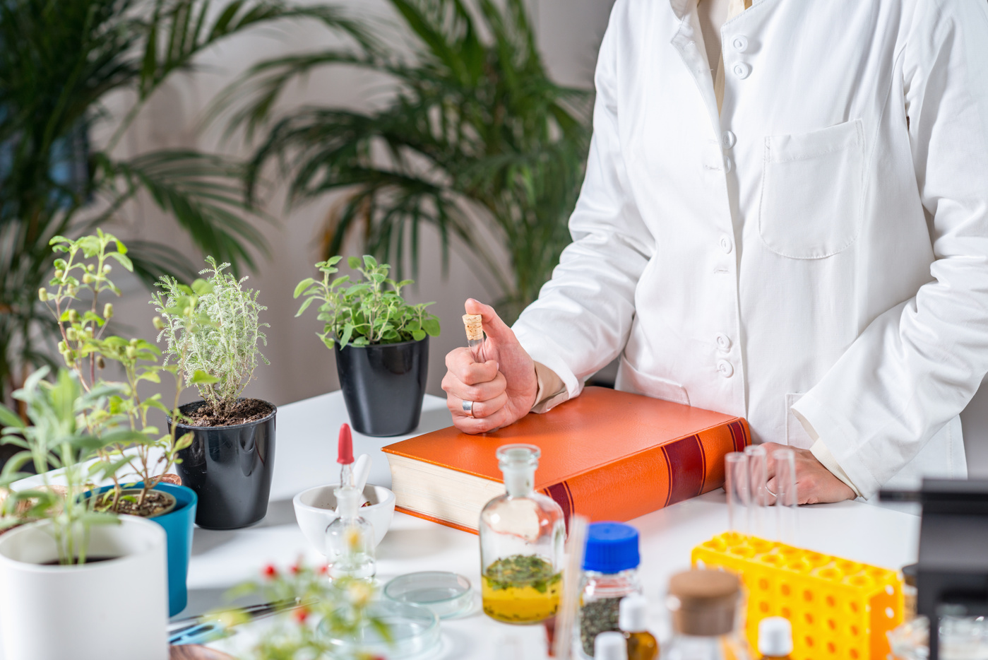 Eine Homöopathin bei der Arzneimittelprüfung und Potenzierung für die Homöopathie-Behandlung.